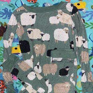 Little Sleepies 2T Set